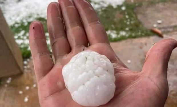 Os canhões anti-granizo já são usados para diversas culturas perenes como frutas em geral, bem como em lavouras de hortícolas em países do hemisfério norte. (foto - ilustrativa)