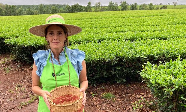 Una enfermedad de niña le despertó la pasión por el té: hoy es sommelier, da cursos y lanzó su propia marca en hebras