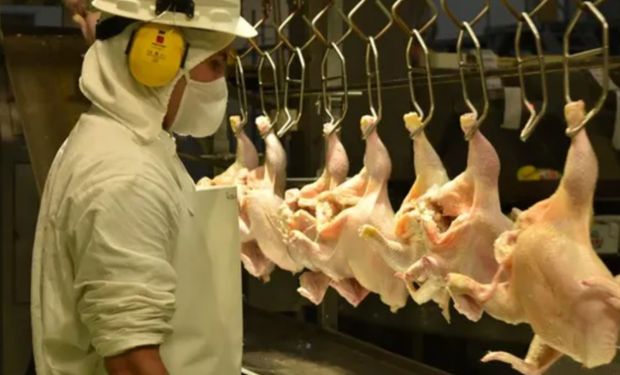 Trabajadores de la actividad avícola acordaron una suba salarial del 30,8 %