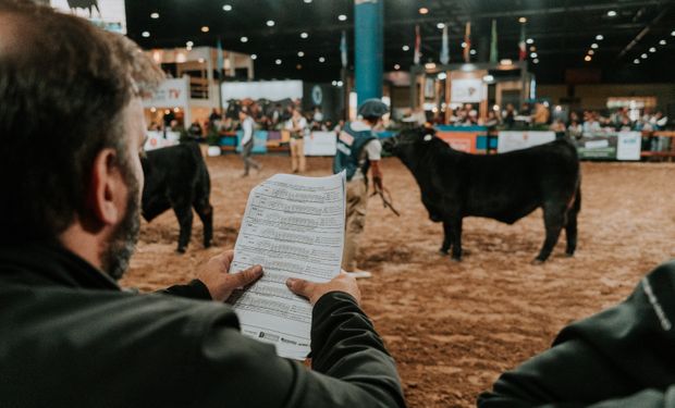 Angus: la sorpresa de un productor mexicano en su visita a La Rural de Palermo