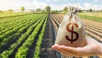 Plano Safra será de R$ 364,22 bilhões para grandes e médios produtores