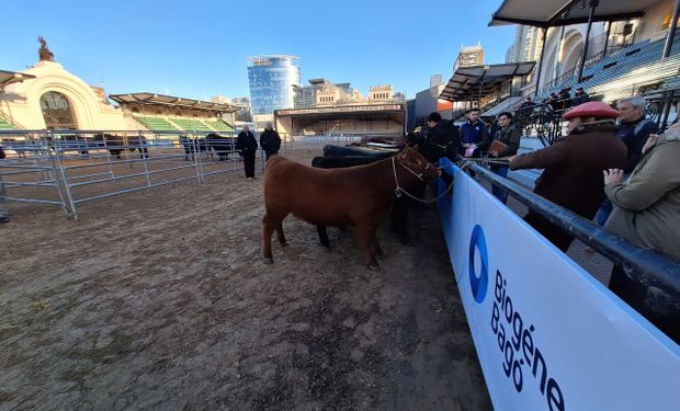 Expo Rural abre sus puertas: las atracciones para visitar durante el primer día