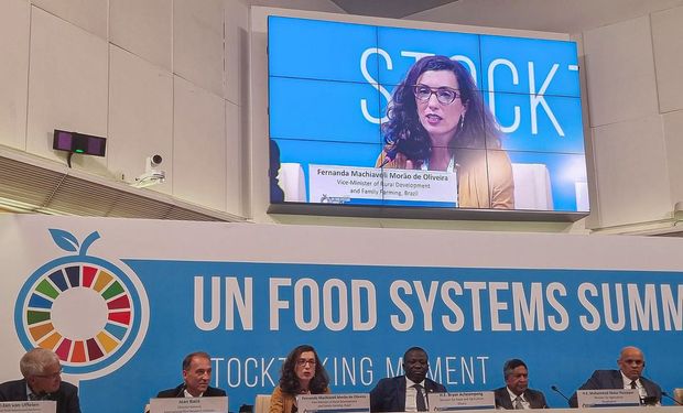 Secretária-executiva do Ministério do Desenvolvimento Agrário e Agricultura Familiar, Fernanda Machiaveli, lidera delegação brasileira na cúpula da ONU