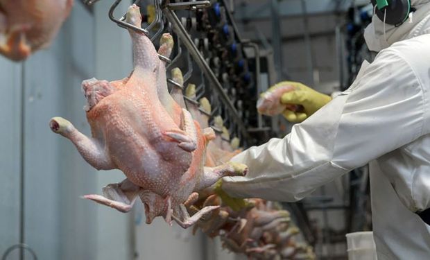Trabajadores avícolas acordaron un aumento salarial del 71 % hasta enero