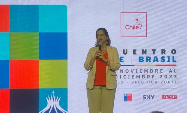 "O Chile e o Brasil têm uma agenda comercial poderosa e para nós muito relevante de exportação", disse vice-ministra da Agricultura do Chile, Ignácia Fernandez. (foto - Ricardo Moyano)