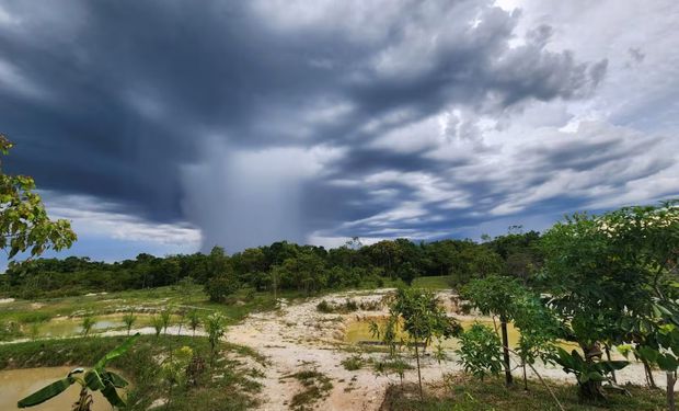 A ventania atingiu uma área de 2 mil hectares e cerca de 200 produtores foram atingidos.