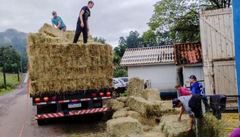 FAESC faz campanha para distribuição de alimento para gado no RS
