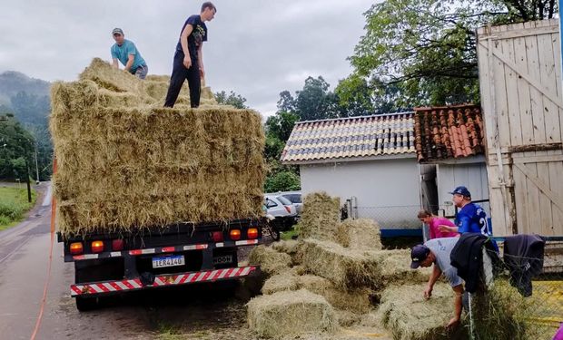 FAESC faz campanha para distribuição de alimento para gado no RS