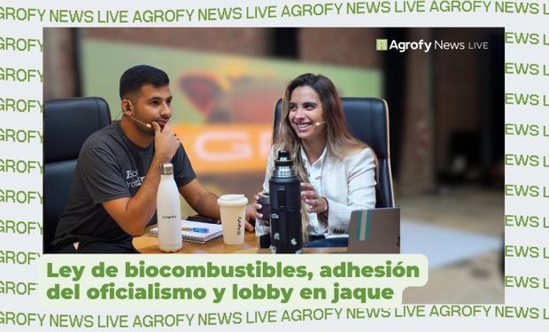 La ley de biocombustibles suma adhesión del oficialismo, pero el lobby la pone en jaque