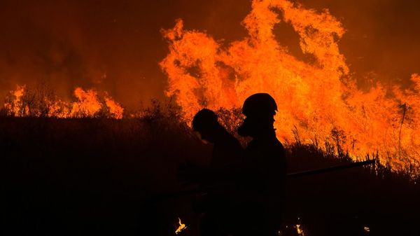 pantanalincendio