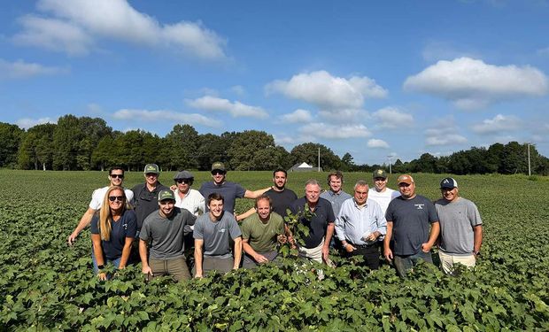 ¿Maíz para whisky? Un viaje al corazón agrícola de los Estados Unidos