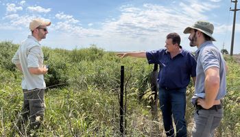 “Se prioriza el rinde inmediato”: Chaco se quejó por la mirada cortoplacista en el uso de herbicidas hormonales y alertó por la “creación” supermalezas