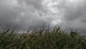 Las lluvias se apoderan de la zona central