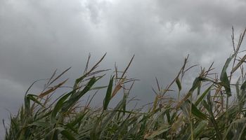 Alerta por tormentas fuertes en el centro y norte del país