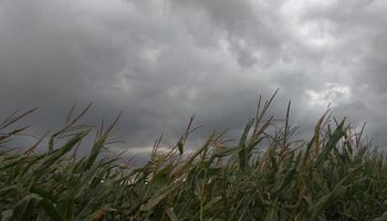 Las lluvias se darían en el centro del país y serían modestas