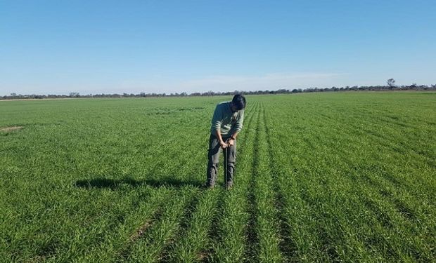 La Agronomía celebra su día abriendo nuevas fronteras de información: el caso de Agrónomos en Acción