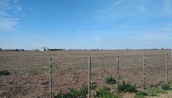 Continúa el frío y la ausencia de lluvias en la zona núcleo