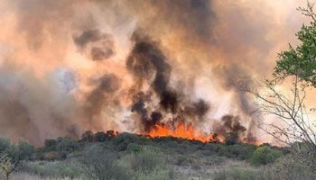 Incendios en sierras de Córdoba: el fuego llegó a Villa Carlos Paz y alertan a la región