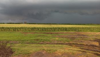 Lluvias oportunas para arrancar el verano