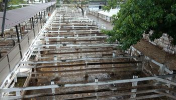 Paro del campo: en dos días ingresaron menos de 400 animales a Liniers