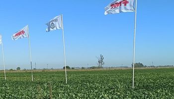 FMC presentó su portfolio de productos y apostó a la capacitación