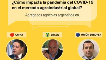 Impacto del COVID-19 en mercados agroindustriales: tres charlas sobre la situación destinos claves
