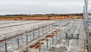 Se reactivaron las obras en el mercado de Cañuelas y el traslado de Liniers sería antes de fin de año
