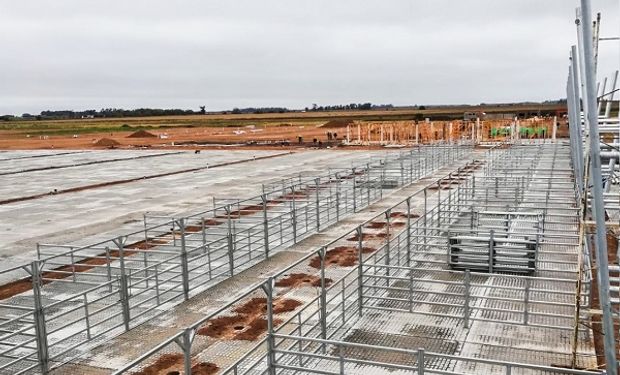 Se reactivaron las obras en el mercado de Cañuelas y el traslado de Liniers sería antes de fin de año