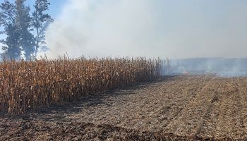 Productores repudiaron el incendio intencional en el campo del vicepresidente de CRA