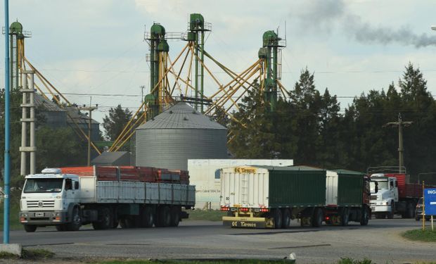 El agro aportará más de 10 mil millones de dólares en lo que resta del año