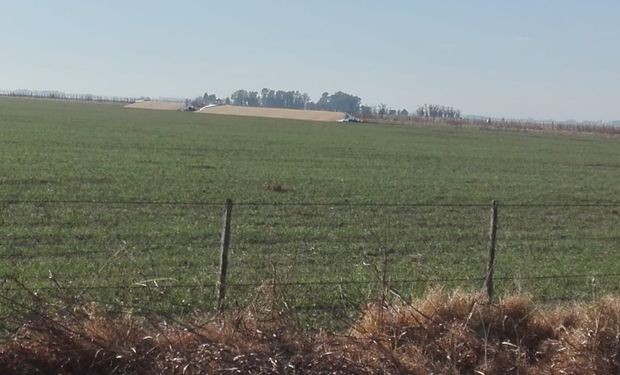 El campo vecino de un dirigente rural recibió un ataque luego de la reunión con el Gobierno