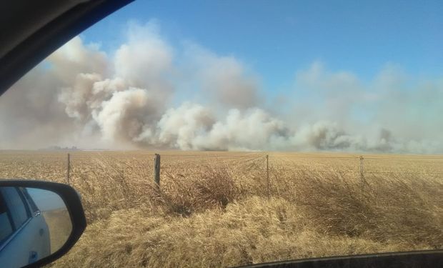 Denuncian un incendio en el campo del presidente de la Sociedad Rural Río Cuarto