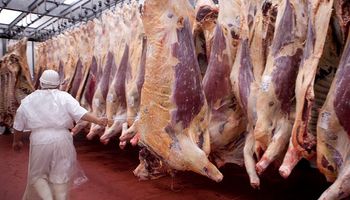 Argentina está más cerca de exportar carne a Colombia y propone frigoríficos para ese destino