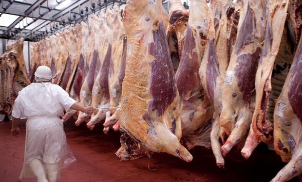 Argentina está más cerca de exportar carne a Colombia y propone frigoríficos para ese destino