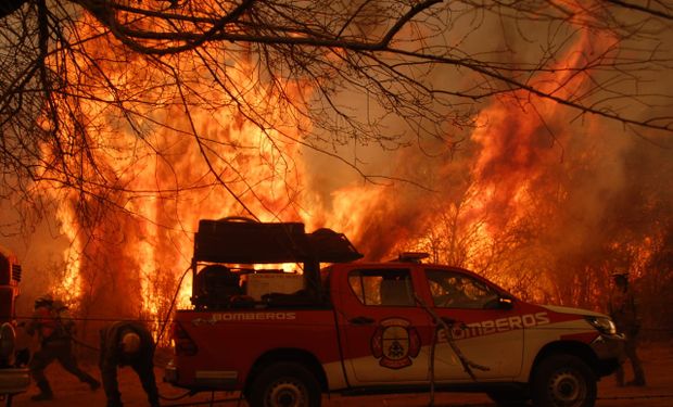 Incendios en Córdoba: la situación es "desesperante" y hay grandes pérdidas de animales