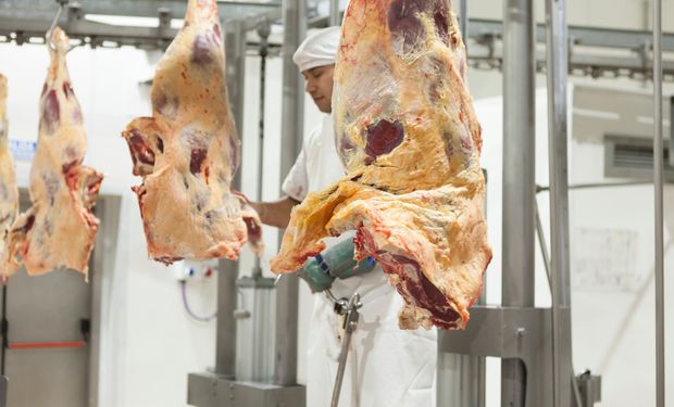 Las exportaciones de carne no se recuperan y hubo una caída interanual del 27,5 % 