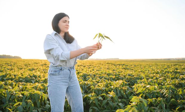 El seguro agropecuario como respuesta a la incertidumbre climática y los imprevistos económicos