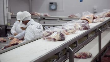 Acuerdo Unión Europea y Mercosur: el Gobierno sostuvo que uno de los grandes ganadores es el agro