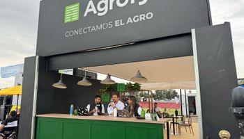 Agrofy News Live se mudó a Expoagro 2025, en vivo: qué pasa con los granos, las novedades y la actualidad de los productores