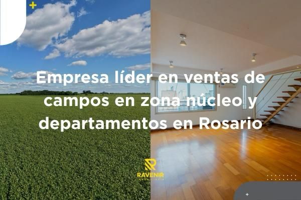ravenir empresa lider