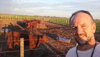 "Hay que agriculturizar la ganadería": la visión de Guillermo Gorziglia, asesor de empresas agropecuarias