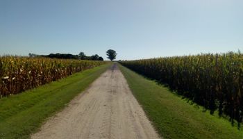 Caminos rurales inundados: la solución que cambia el paradigma y reduce los costos