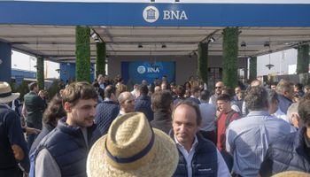 El Banco Nación lanzará créditos accesibles y promociones exclusivas en Agroactiva