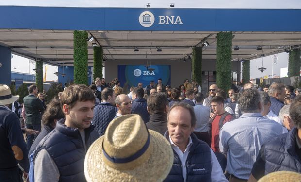 El Banco Nación lanzará créditos accesibles y promociones exclusivas en Agroactiva