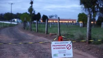 Gripe aviária: Brasil tem sete casos suspeitos, isola trabalhador e pede à China redução de bloqueio