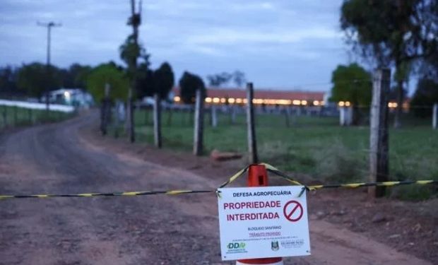 Gripe aviária: Brasil tem sete casos suspeitos, isola trabalhador e pede à China redução de bloqueio