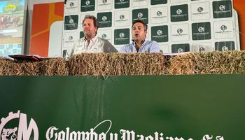 Subastan más de 11.000 cabezas desde una de las mayores exposiciones ganaderas de la Argentina
