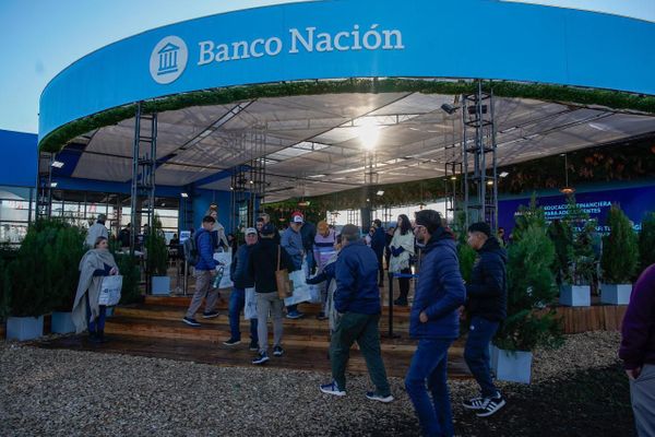 banco nacion agroactiva