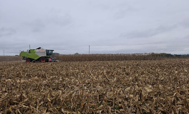 La durísima advertencia de productores de soja y maíz del norte ante la inminente suba de retenciones