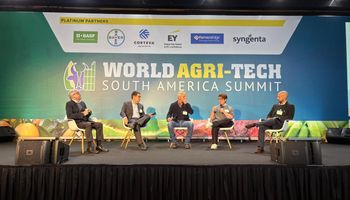 O "santo graal" da agricultura regenerativa e seus limites